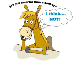 donkey clipart dum
