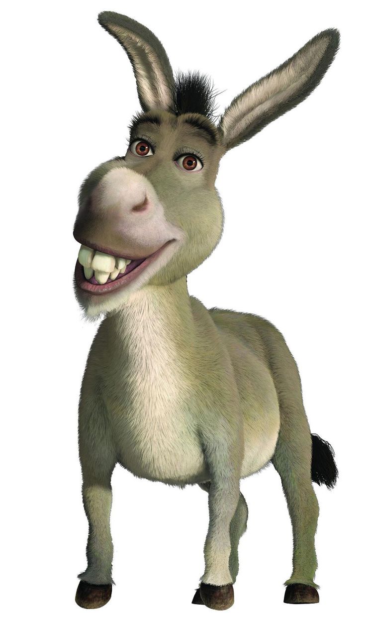 donkey clipart mini donkey