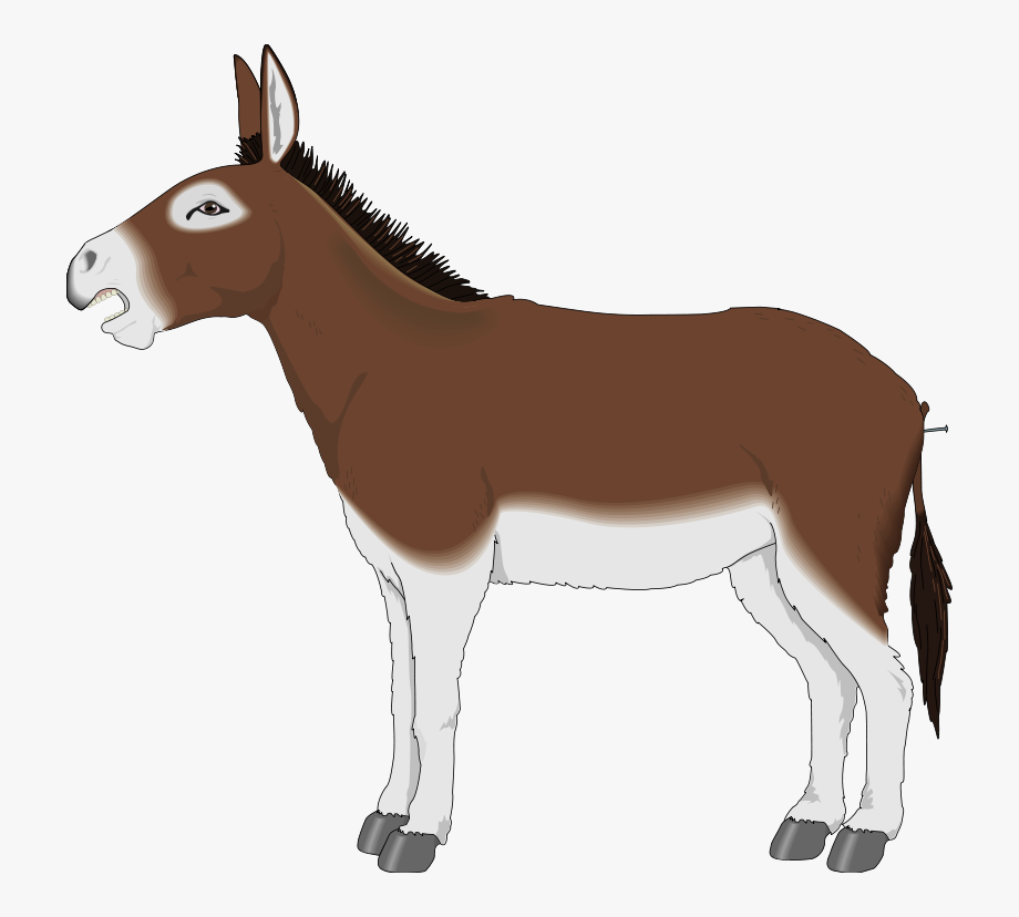 mule clipart donkey
