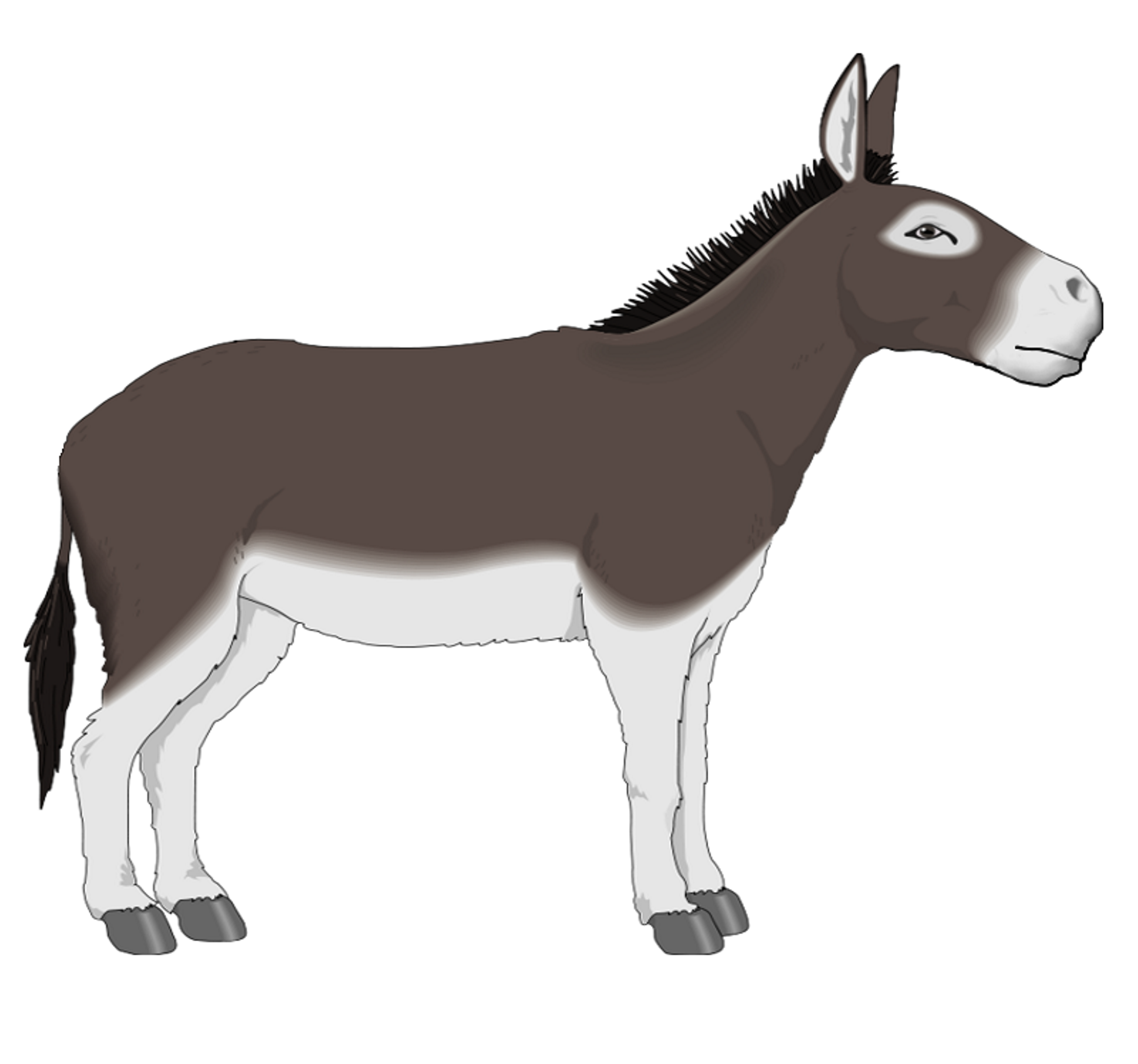 Profile cliparthero clip art. Donkey clipart side
