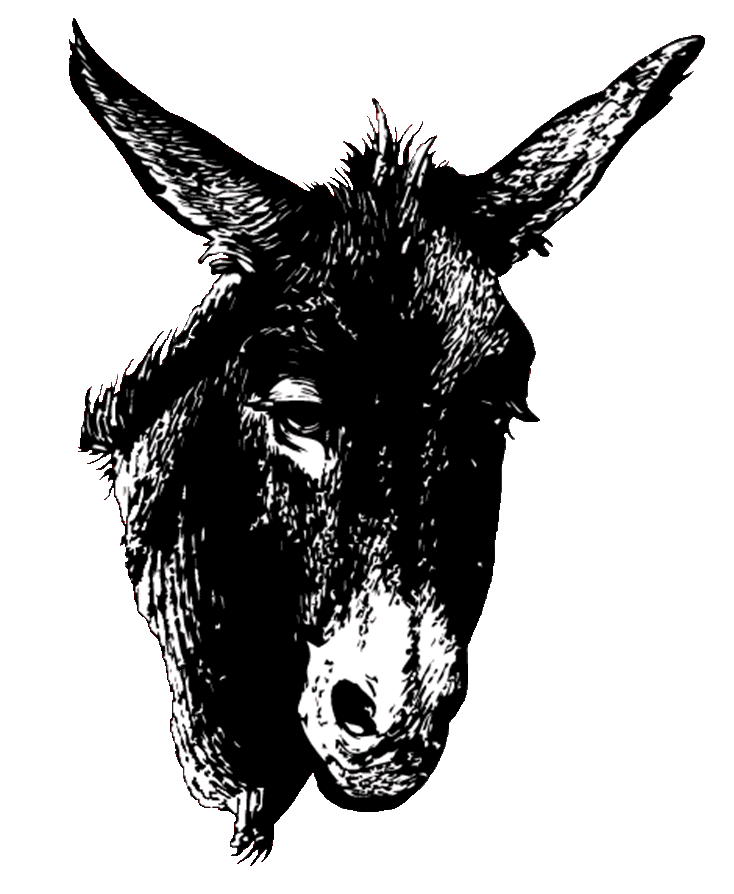 mule clipart nativity donkey