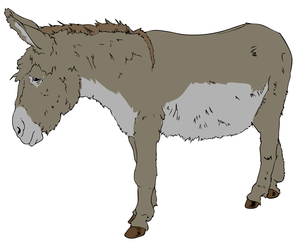 donkey clipart vertebrate