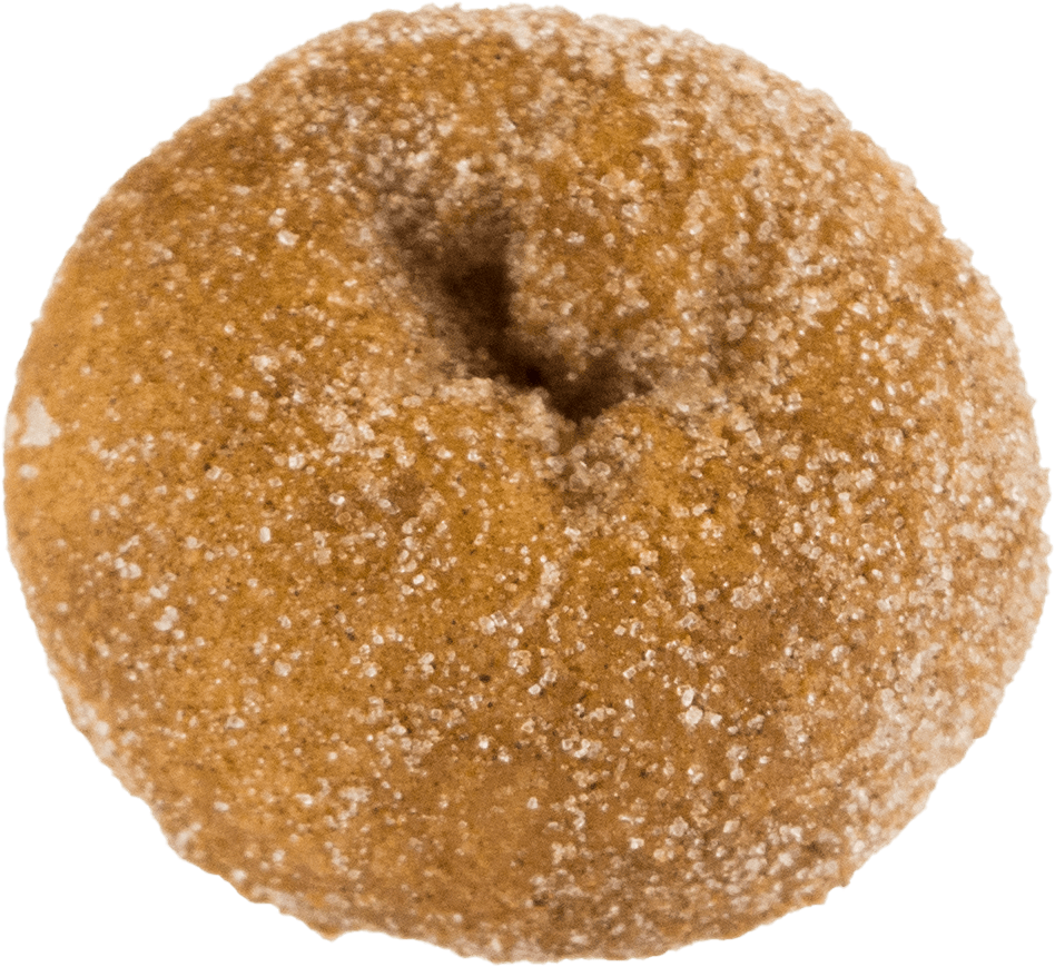 Donuts sprinkled donut