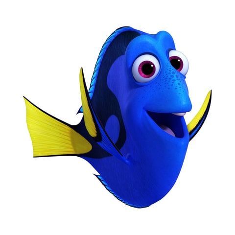 Dude meet the adorable. Dory clipart seafish