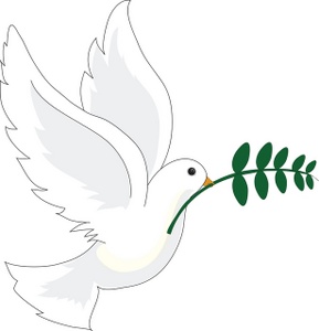 dove clipart bird