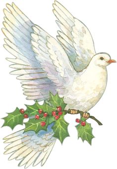 doves clipart christmas