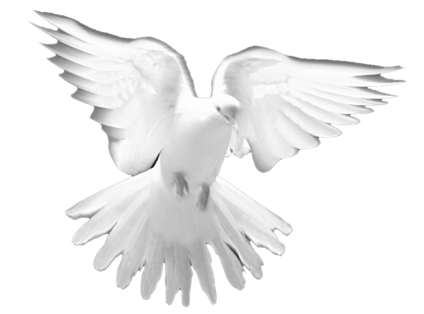 Prayer christian church clip. Pigeon clipart holy spirit