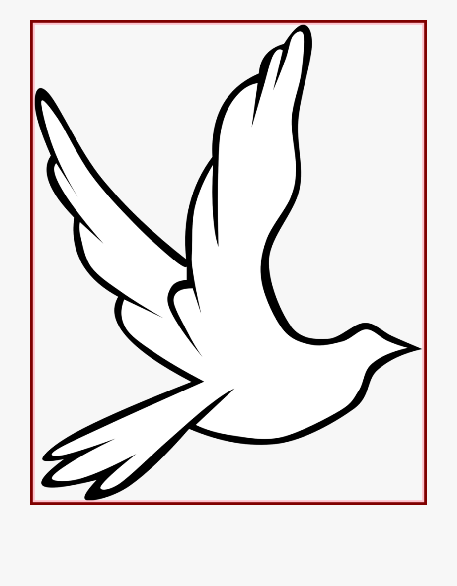 Download dove outline pigeons. Pigeon clipart holy spirit