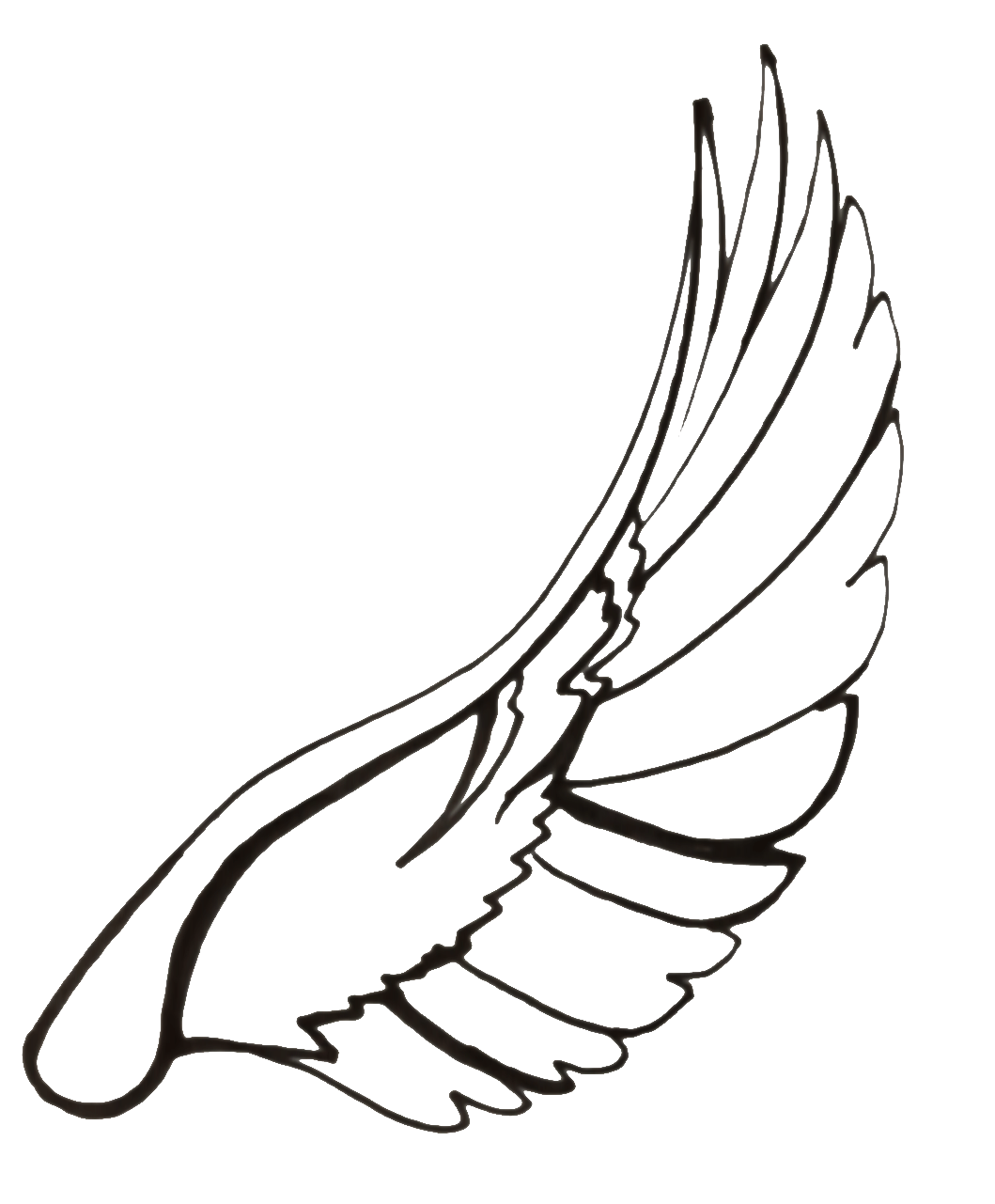 dove clipart drawing