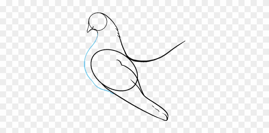 dove clipart feather