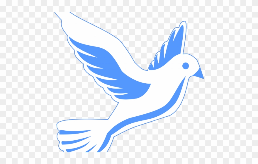 Dove clipart fire. White png illustration transparent