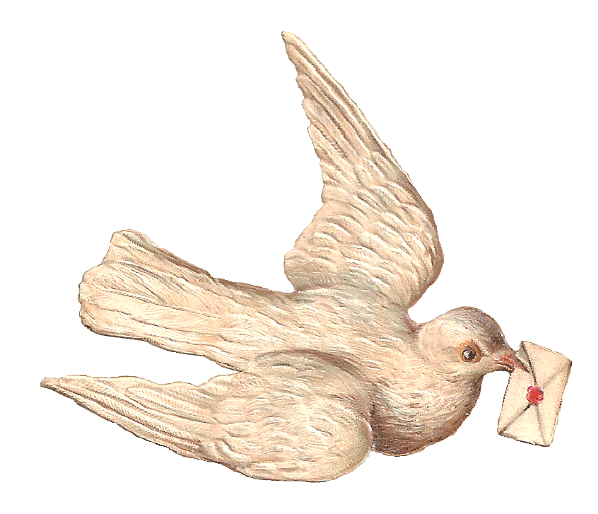 dove clipart hope