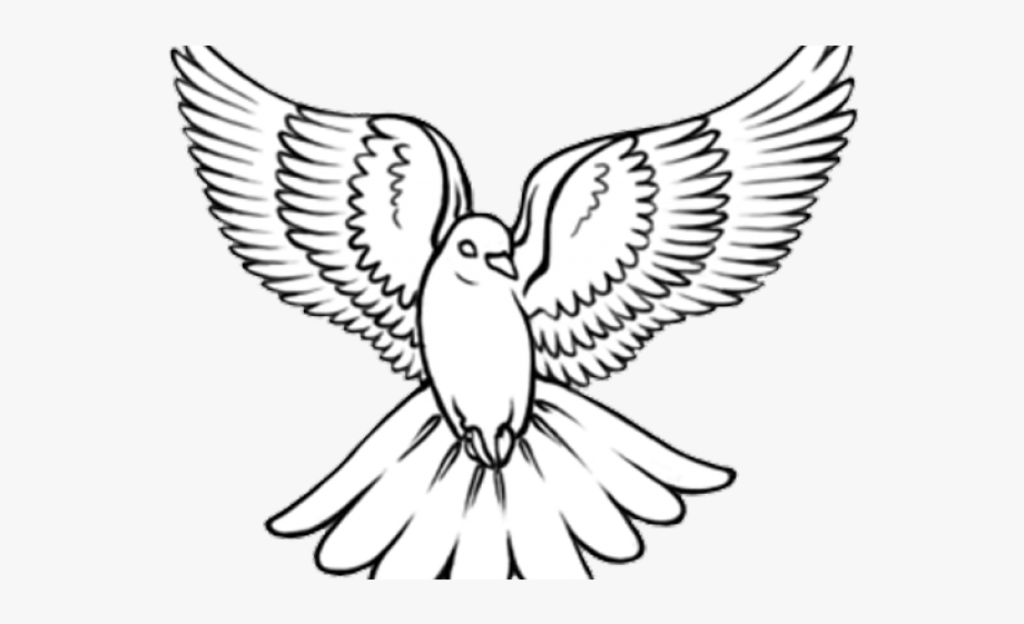 dove clipart hope