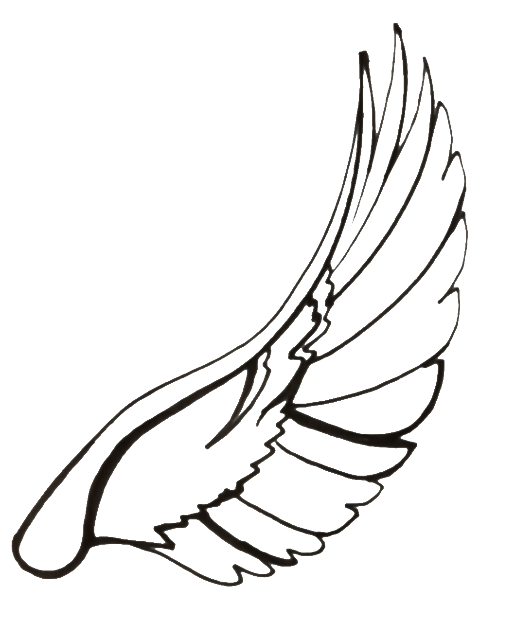 wing clipart dove wing