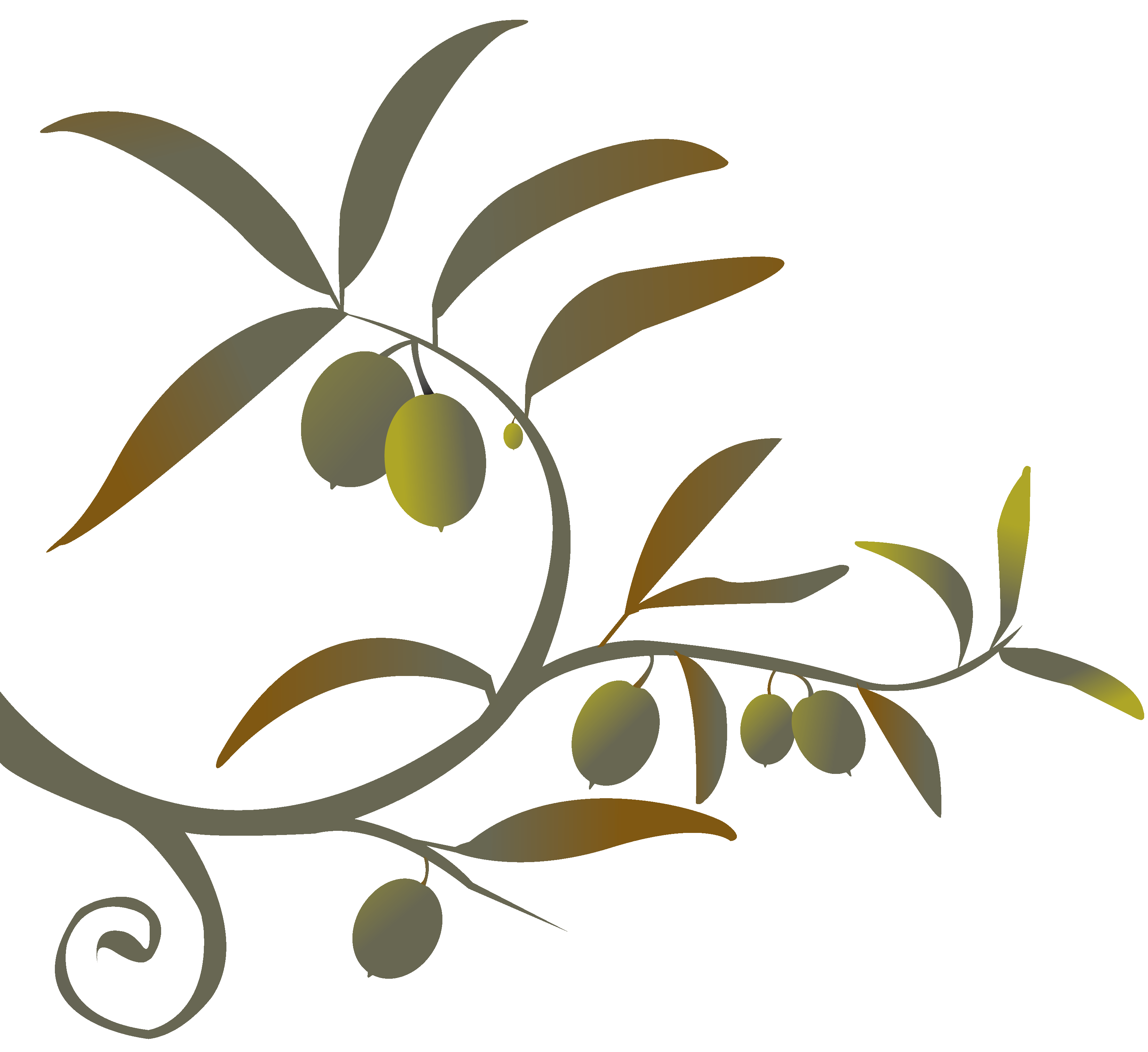 Peace clipart olive branch. Png siren song of