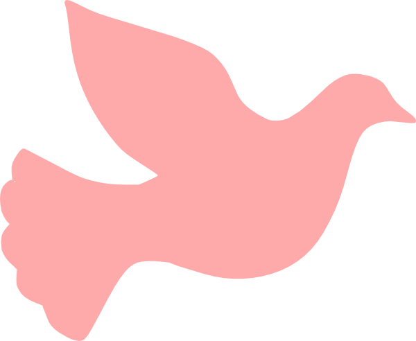 dove clipart pink
