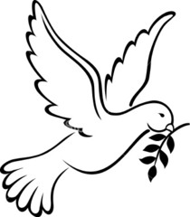 dove clipart purity