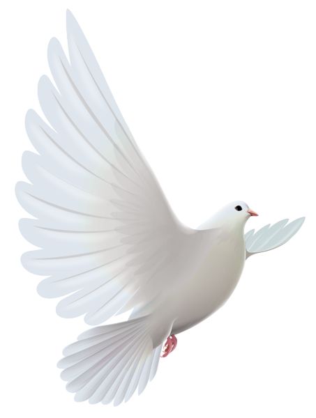 doves clipart realistic