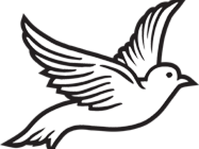 Doves clipart roman catholic. Dove pigeons and png