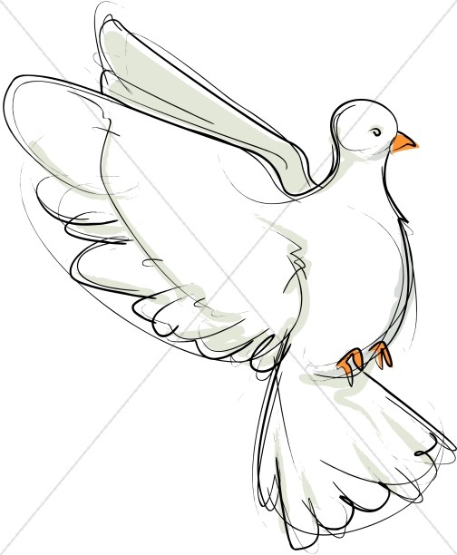 doves clipart sketch