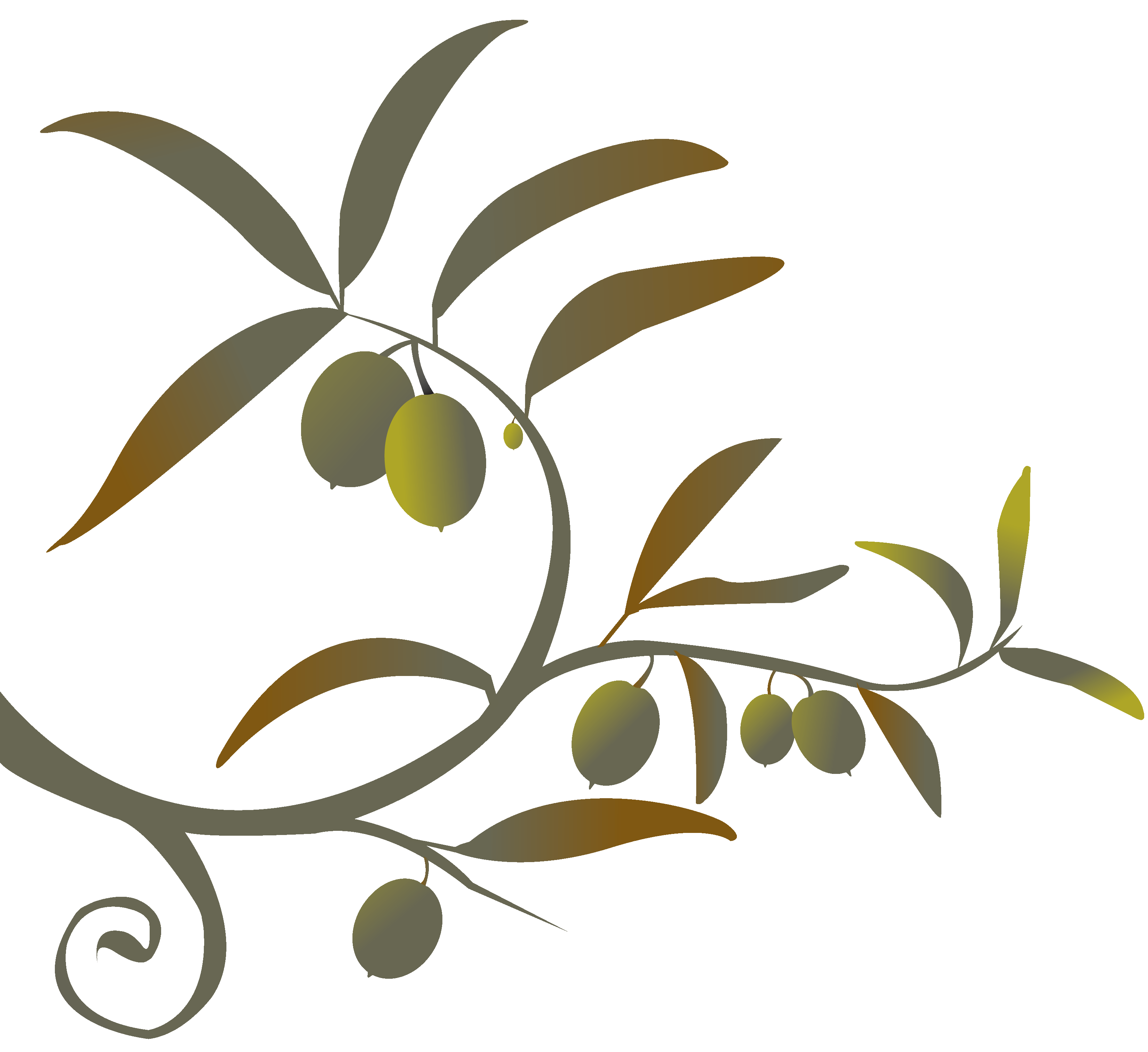 grapes clipart olive