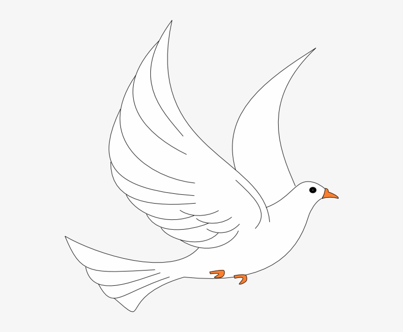 dove clipart vector png