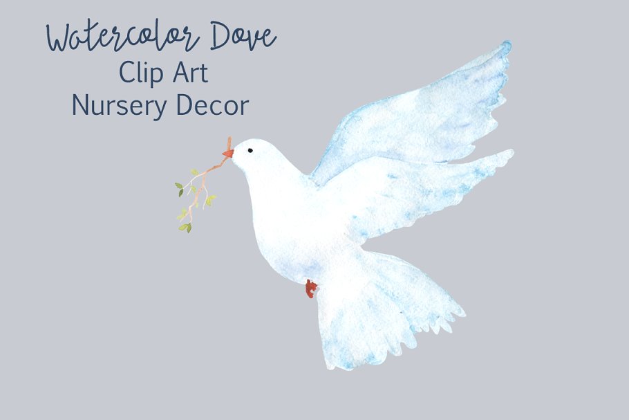 dove clipart watercolor