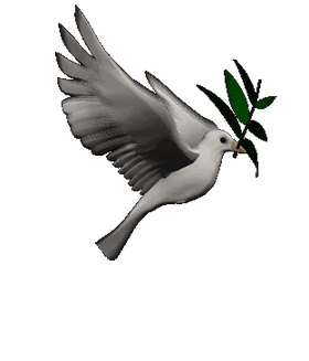 doves clipart animated