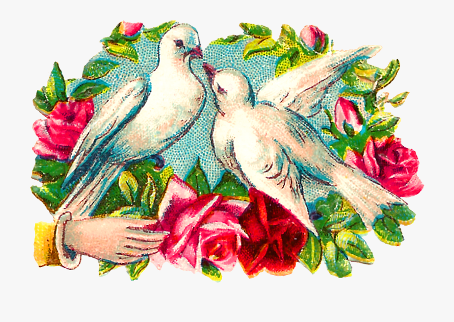 doves clipart colorful