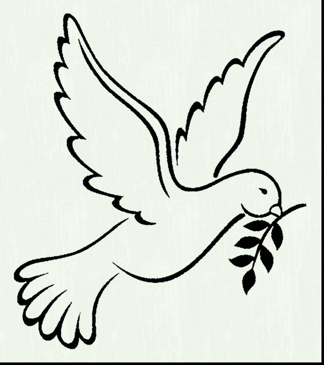 Doves clipart easy. Turtle dove sketch at