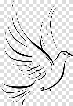 Doves clipart funeral. Black bird illustration columbidae