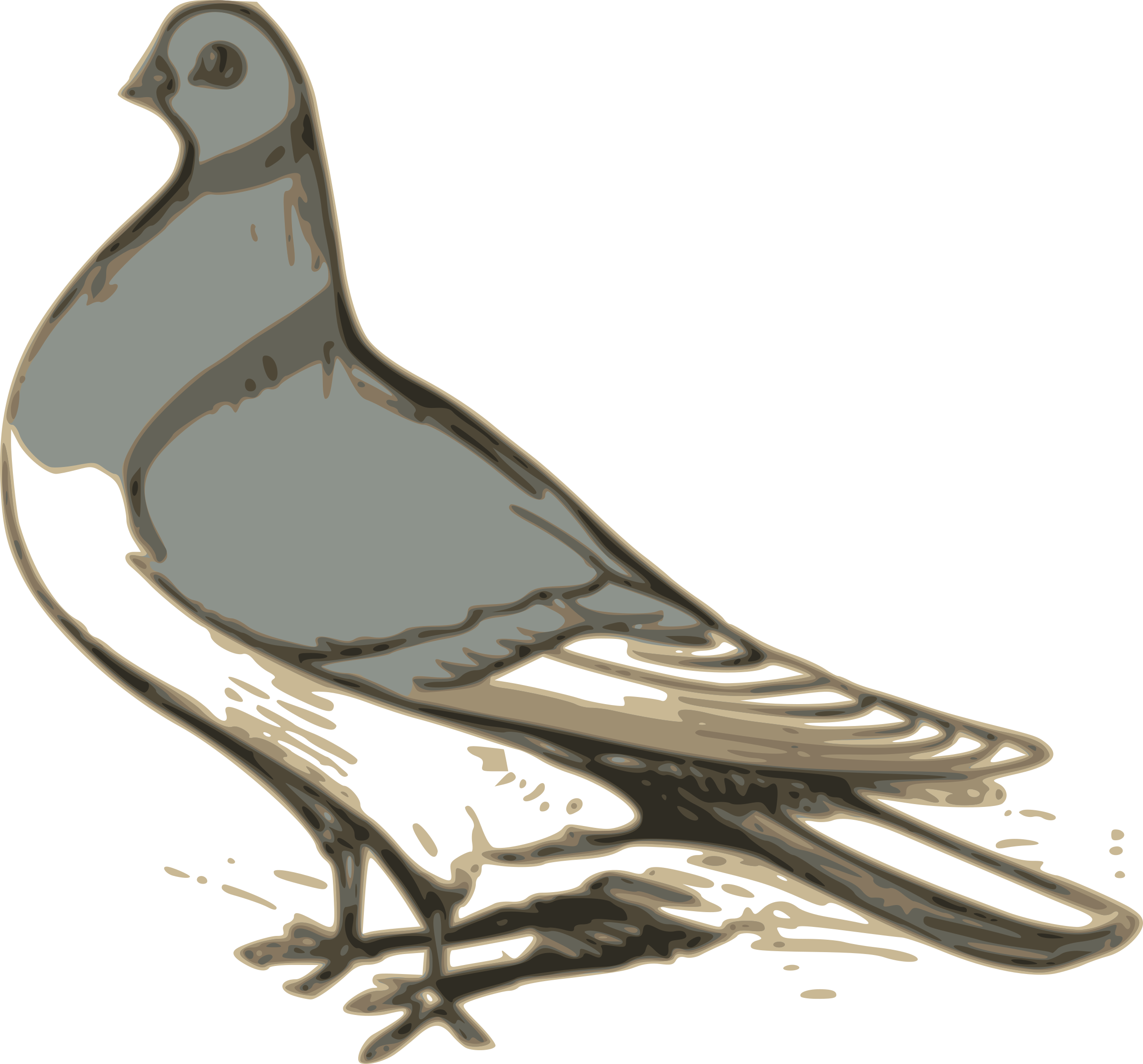 Illustration big image png. Pigeon clipart small dove