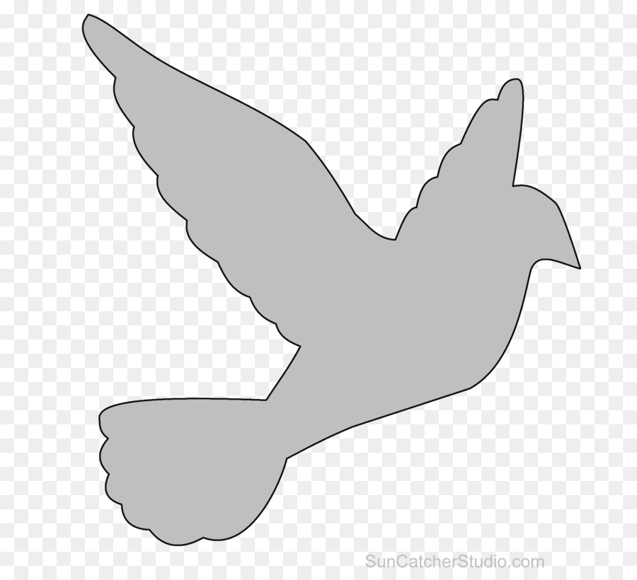 Pigeon clipart bird beak. Line drawing shape 
