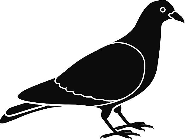 doves clipart side view