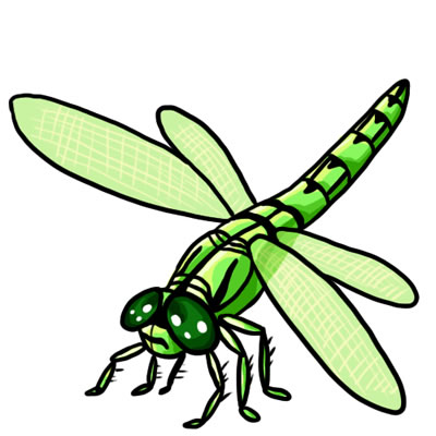 Dragonfly clipart.  free clip art