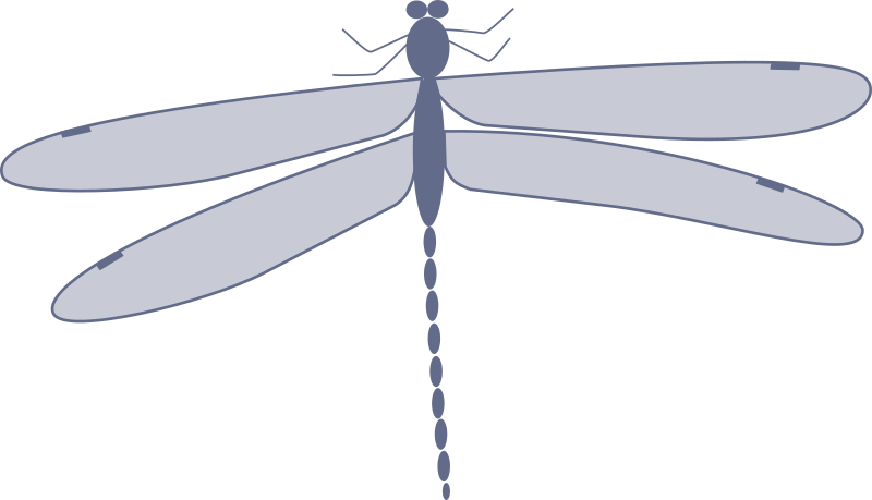 dragonfly clipart artistic