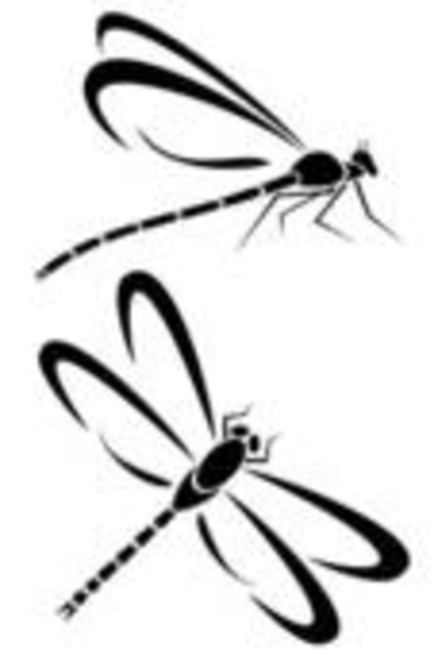 dragonfly clipart baby