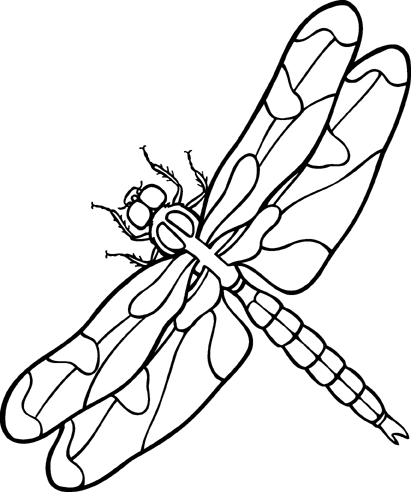 Dragonfly clipart black and white. Free cliparts download clip