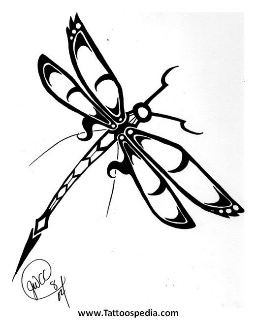 Dragonfly clipart celtic. Tattoos tattoospedia art 