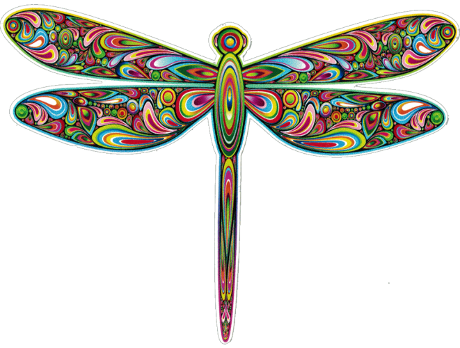 Art designs bumper stickers. Dragonfly clipart celtic