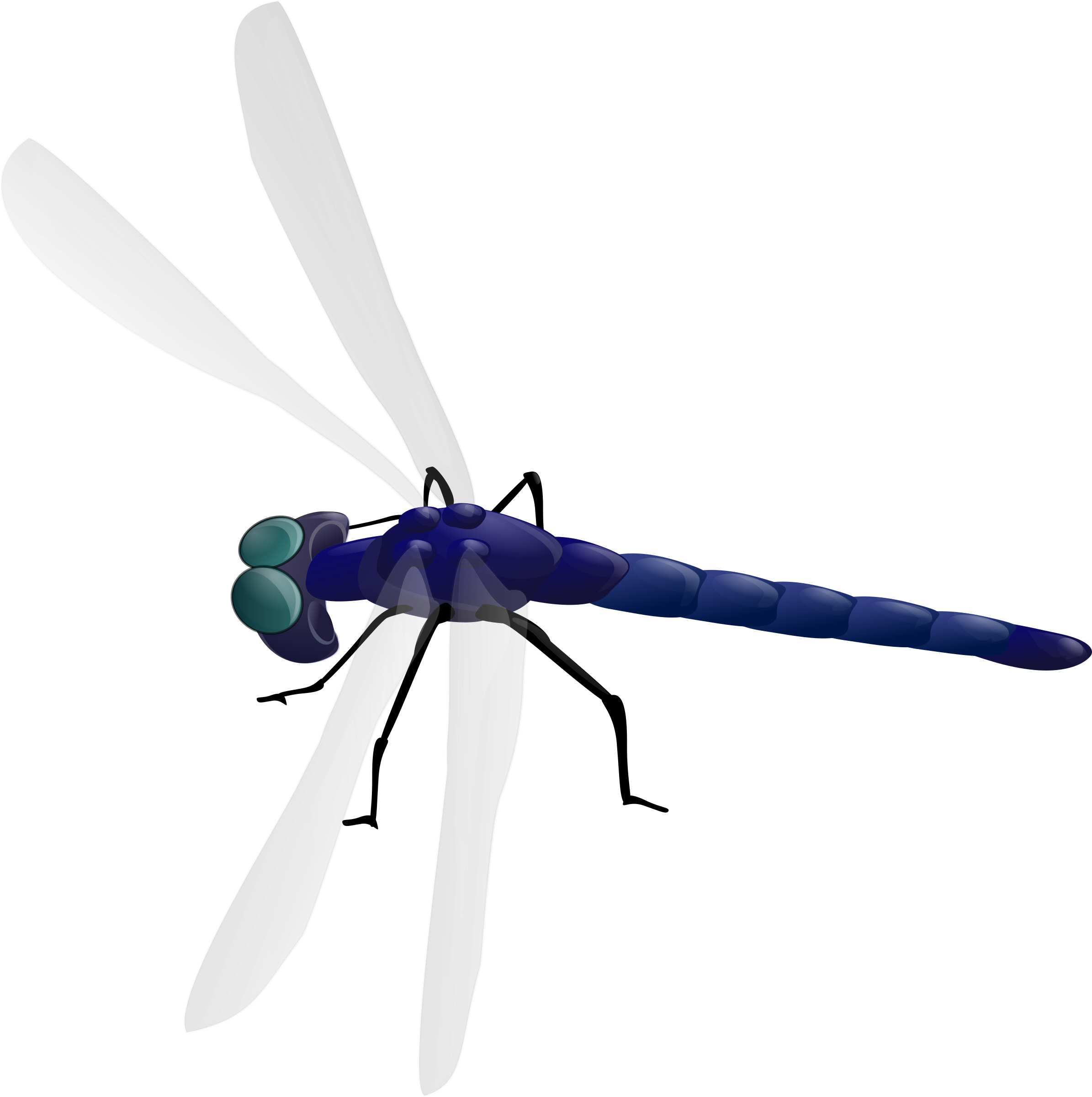 Icons png free and. Dragonfly clipart colorful dragonfly