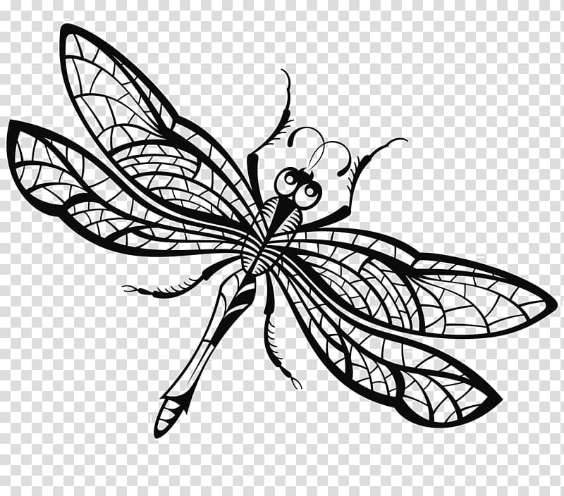 dragonfly clipart creative