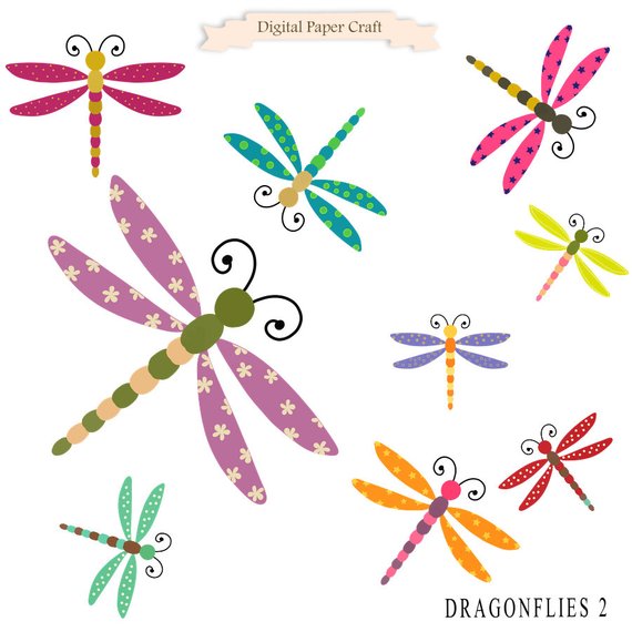 dragonfly clipart creative