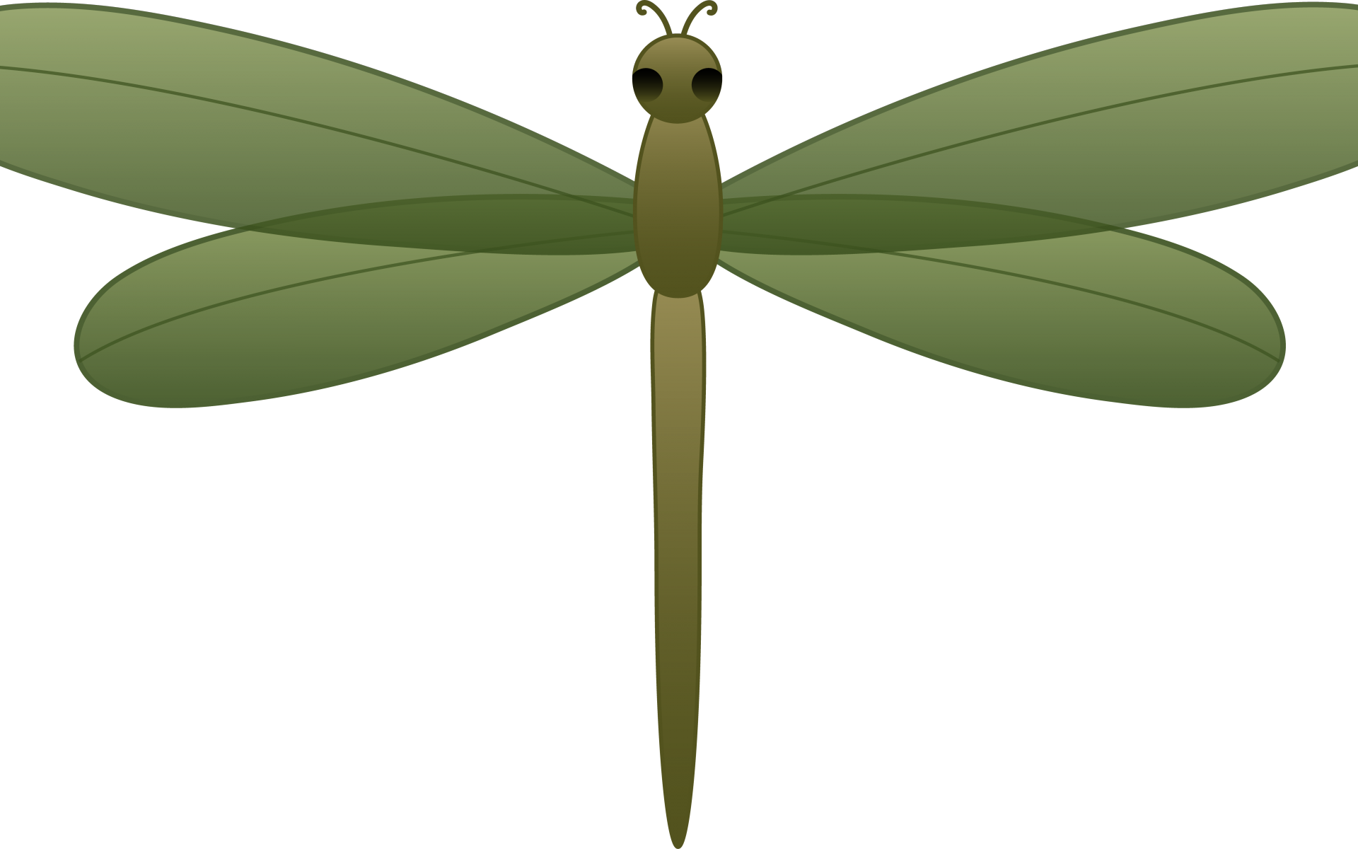 dragonfly clipart drawing