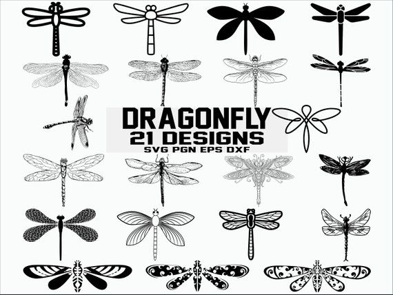 Dragonfly clipart dxf. Svg insect 