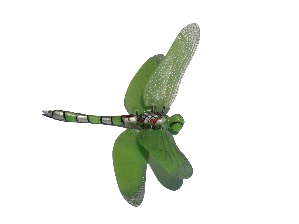 dragonfly clipart green darner