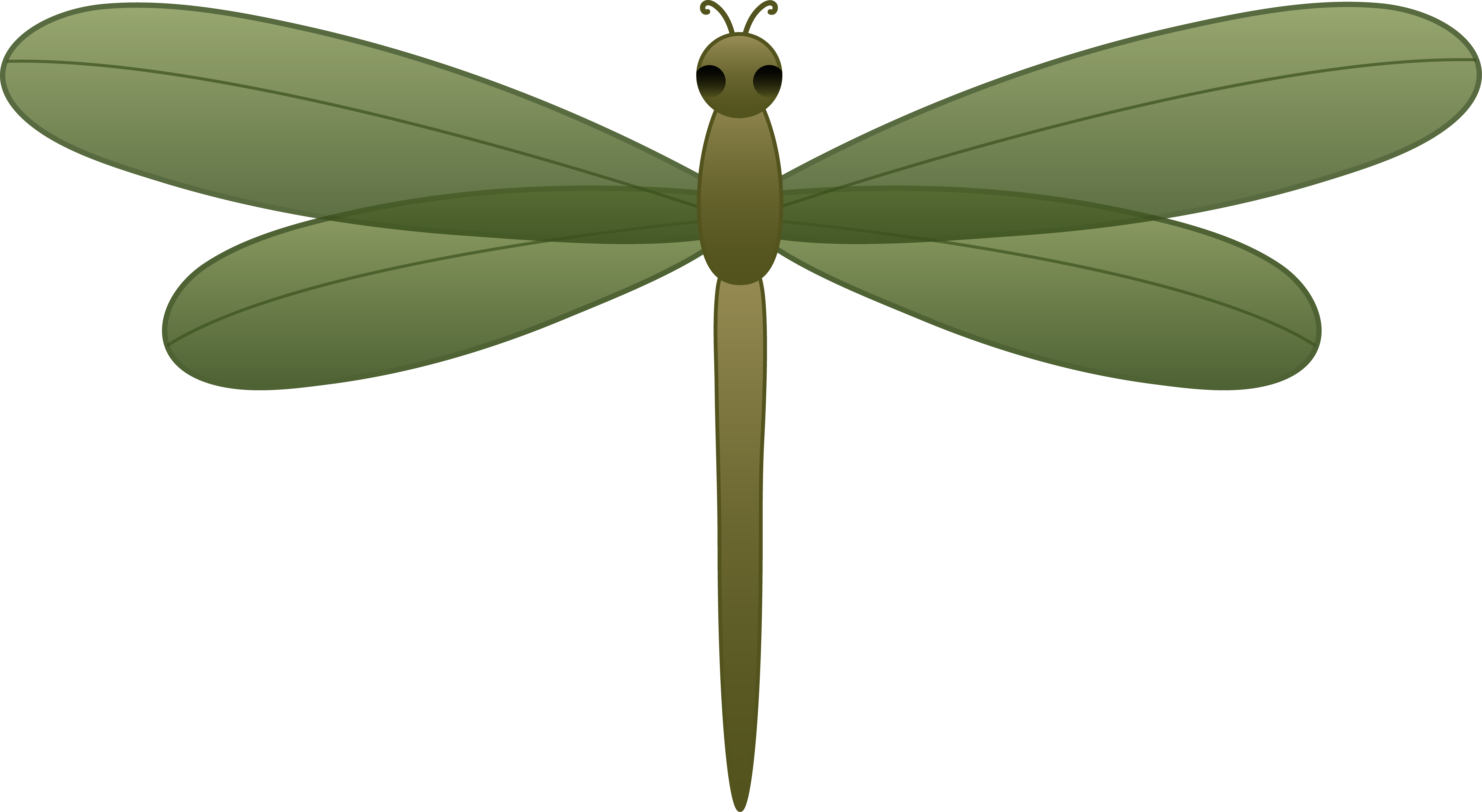 Dragonfly clipart green darner.  collection of transparent