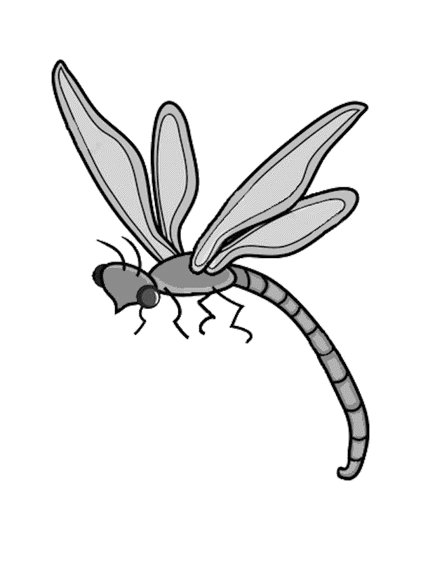 dragonfly clipart side view