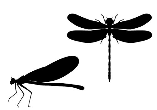 Vector in marshes free. Dragonfly clipart silhouette