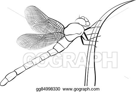 dragonfly clipart stalyzed